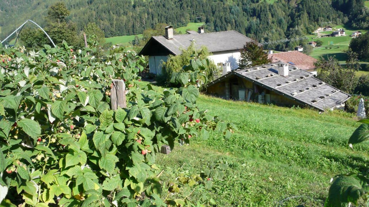 Ferienwohnung Obergereuthhof St. Martin in Passeier Exterior foto