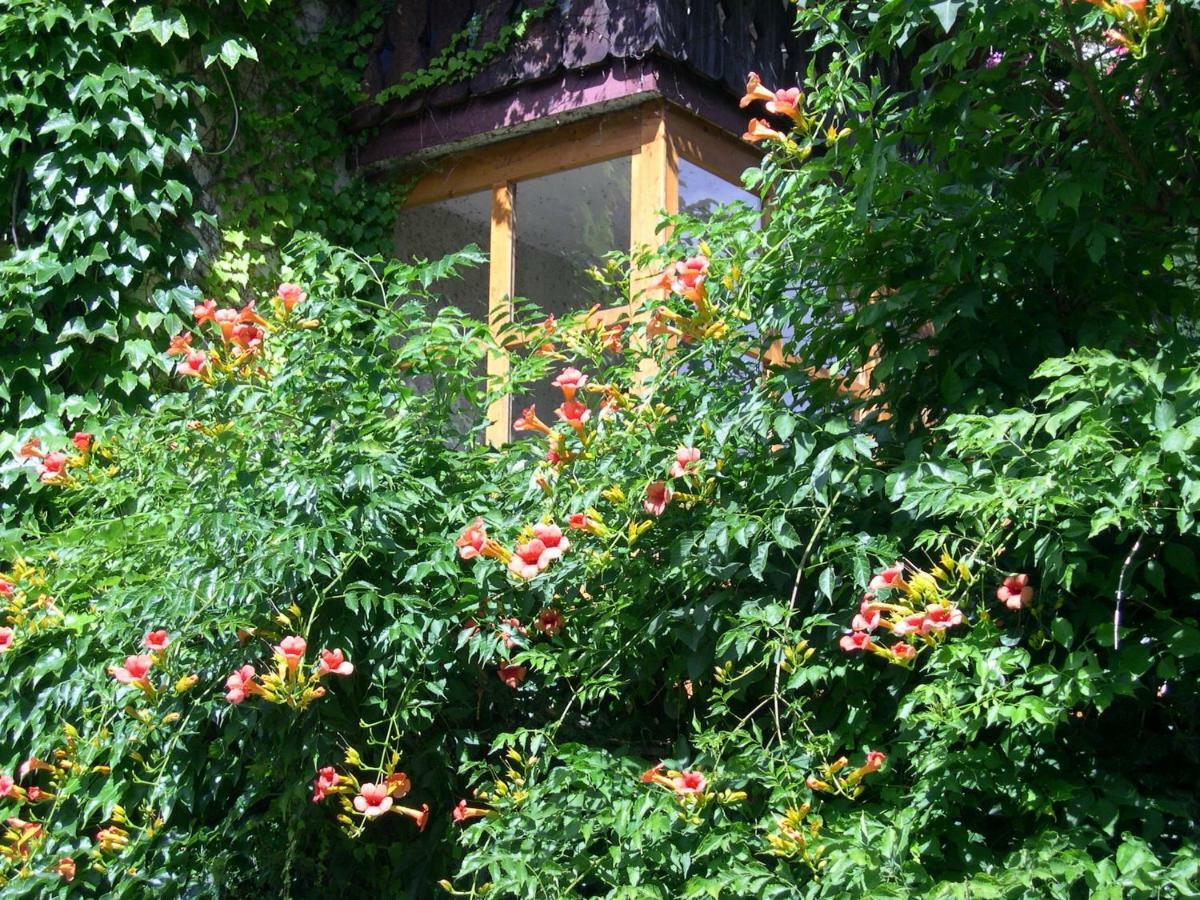 Ferienwohnung Obergereuthhof St. Martin in Passeier Exterior foto